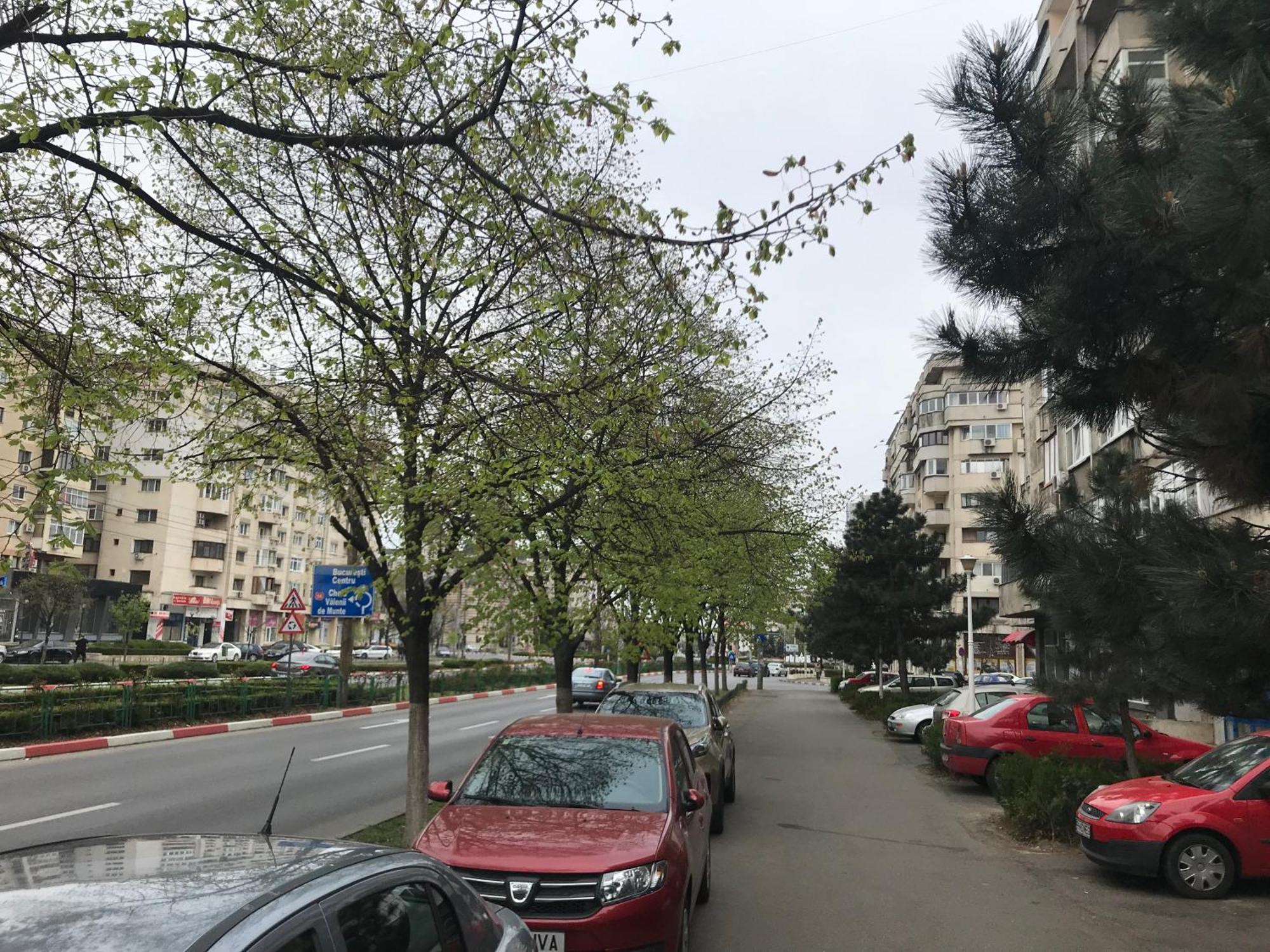 Adrian Home Libra بلوييست المظهر الخارجي الصورة